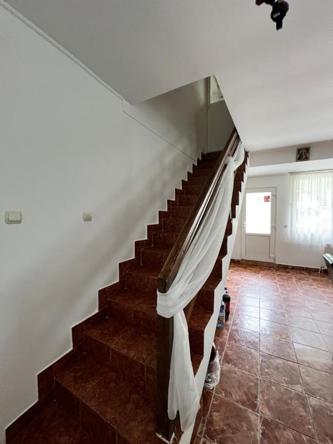 Casuta De Langa Padure Hotel Моечу де Жос Екстериор снимка