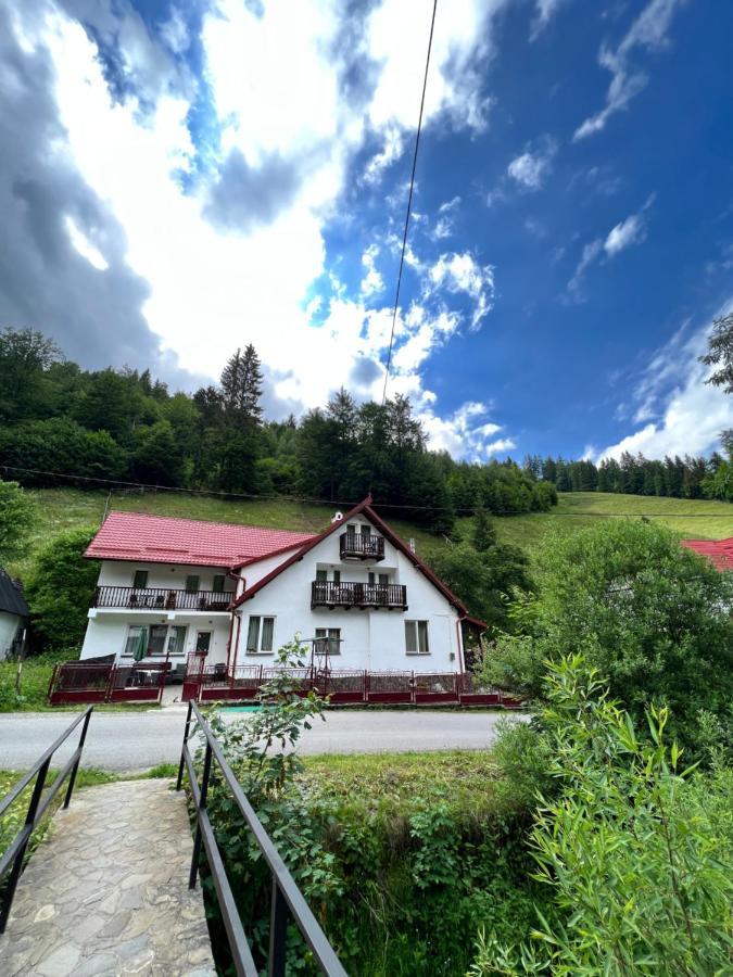 Casuta De Langa Padure Hotel Моечу де Жос Екстериор снимка