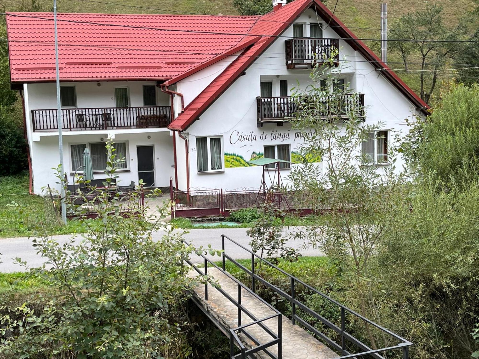 Casuta De Langa Padure Hotel Моечу де Жос Екстериор снимка