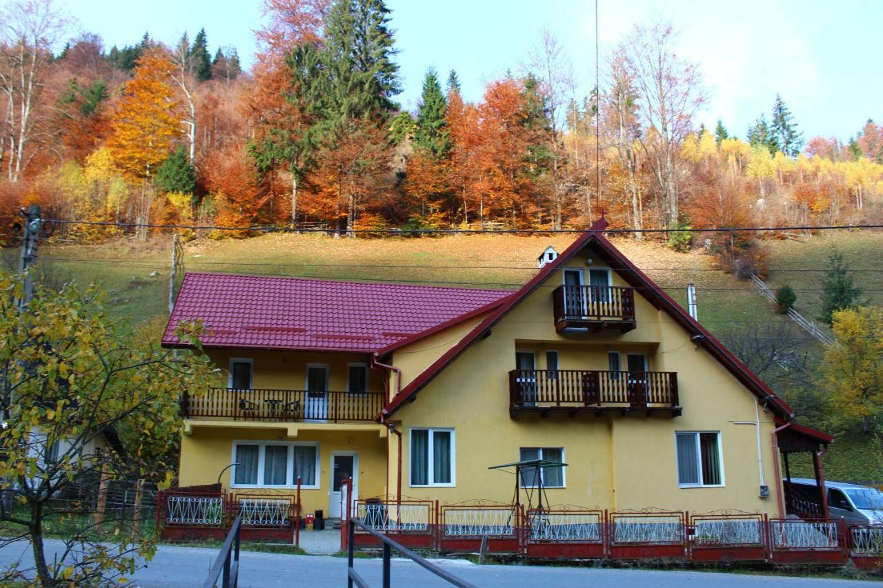 Casuta De Langa Padure Hotel Моечу де Жос Екстериор снимка