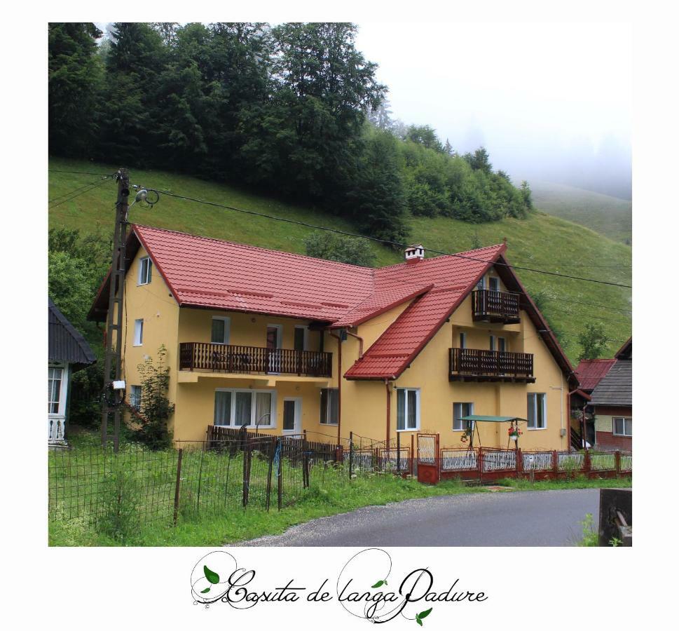 Casuta De Langa Padure Hotel Моечу де Жос Екстериор снимка